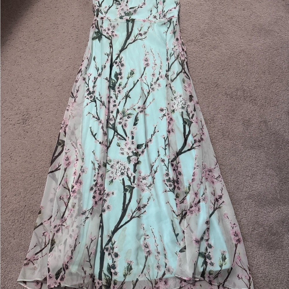 Boohoo Mint Floral Maxi Dress
